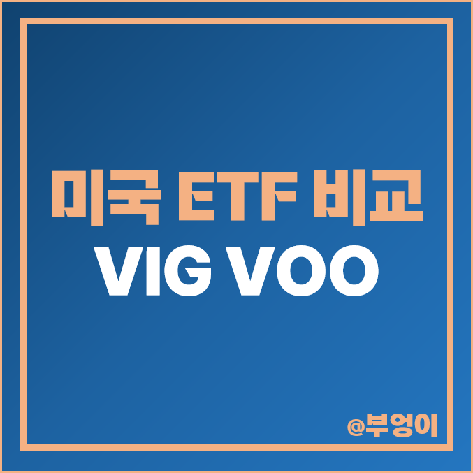 미국 배당 성장주 ETF VIG, S&P 500 지수 VOO etf 주가 비교 미국 배당 성장주 ETF VIG, S&P 500 지수 VOO etf 주가 비교