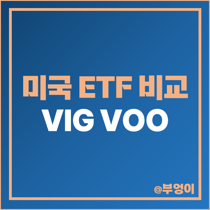 미국 배당 성장주 ETF VIG, S&P 500 지수 VOO etf 주가 비교