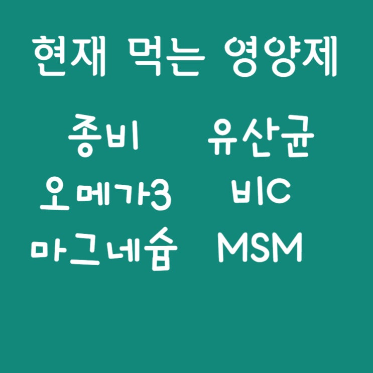 지니영양제의 영양제 조합1(23년 6월) - 종합 비타민, 오메가3, 마그네슘, 유산균, 비타민C, MSM 지니영양제의 영양제 조합1(23년 6월) - 종합 비타민, 오메가3, 마그네슘, 유산균, 비타민C, MSM