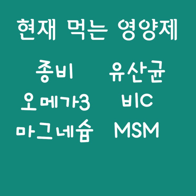 지니영양제의 영양제 조합1(23년 6월) - 종합 비타민, 오메가3, 마그네슘, 유산균, 비타민C, MSM