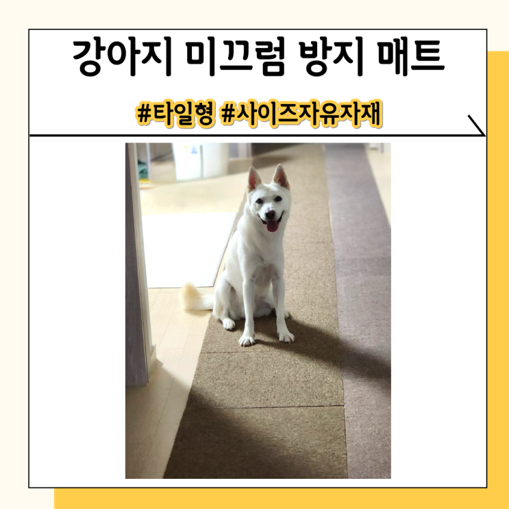 강아지 퍼즐 매트 고민하다가 타일형 구입했는데 만족해요 강아지 퍼즐 매트 고민하다가 타일형 구입했는데 만족해요
