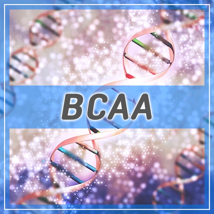 BCAA 효과 효능, 필수 아미노산 종류