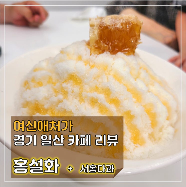  맛과 아름다움이 가득한 '홍설화'와 '서홍다과'