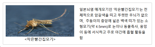 질병관리청, 전국에 일본뇌염 경보 발령(7.27.목) 질병관리청, 전국에 일본뇌염 경보 발령(7.27.목)