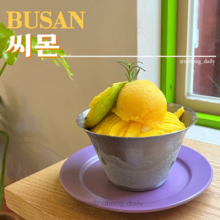  전포 씨몬 망고빙수 애견동반 가능한 디저트 카페