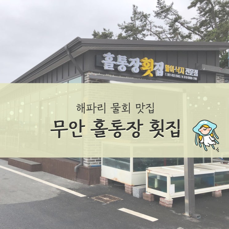  무안 현경맛집 홀통장횟집 여름철에만 맛볼수 있는 쫄깃한 식감의 해파리물회 추천