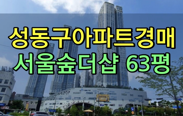 서울숲더샵 경매 63평 성동구 행당동아파트