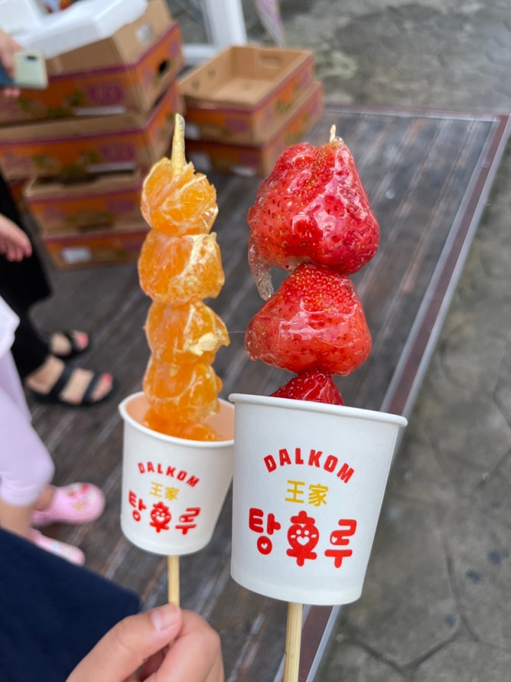  화곡역 탕후루] 핫한 간식 왕가 탕후루