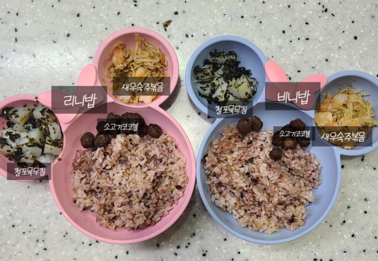  (6세, 2세 유아식) 청포묵무침, 새우 숙주볶음