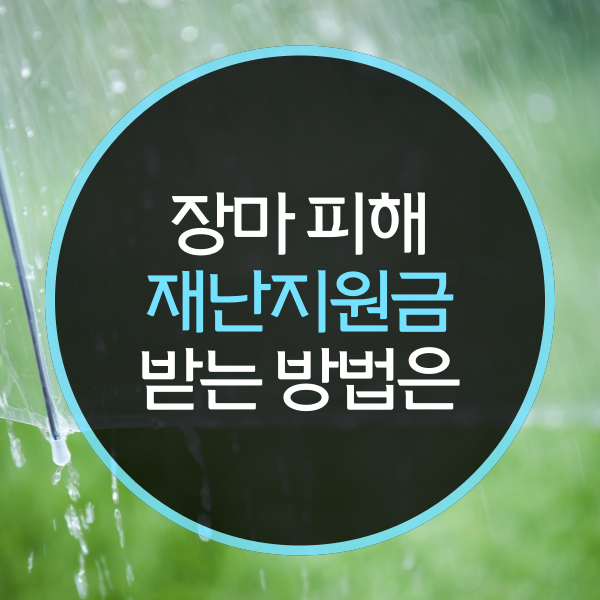  장마 재난지원금이란?