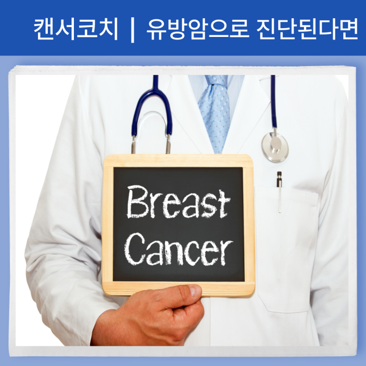 유방암 진단시 알아야 할 지식들. 수원 동탄 분당 암요양 한방병원