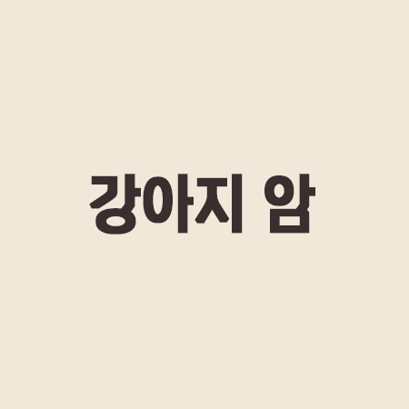강아지 암 증상, 원인, 종양, 항암 치료, 예방 방법