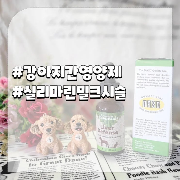  강아지 간수치관리,실리마린밀크시슬 간영양제 애니멀에센셜