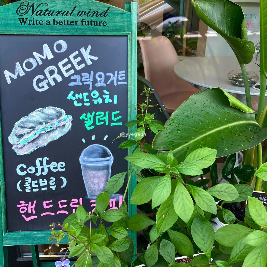 모모그릭 사진 3