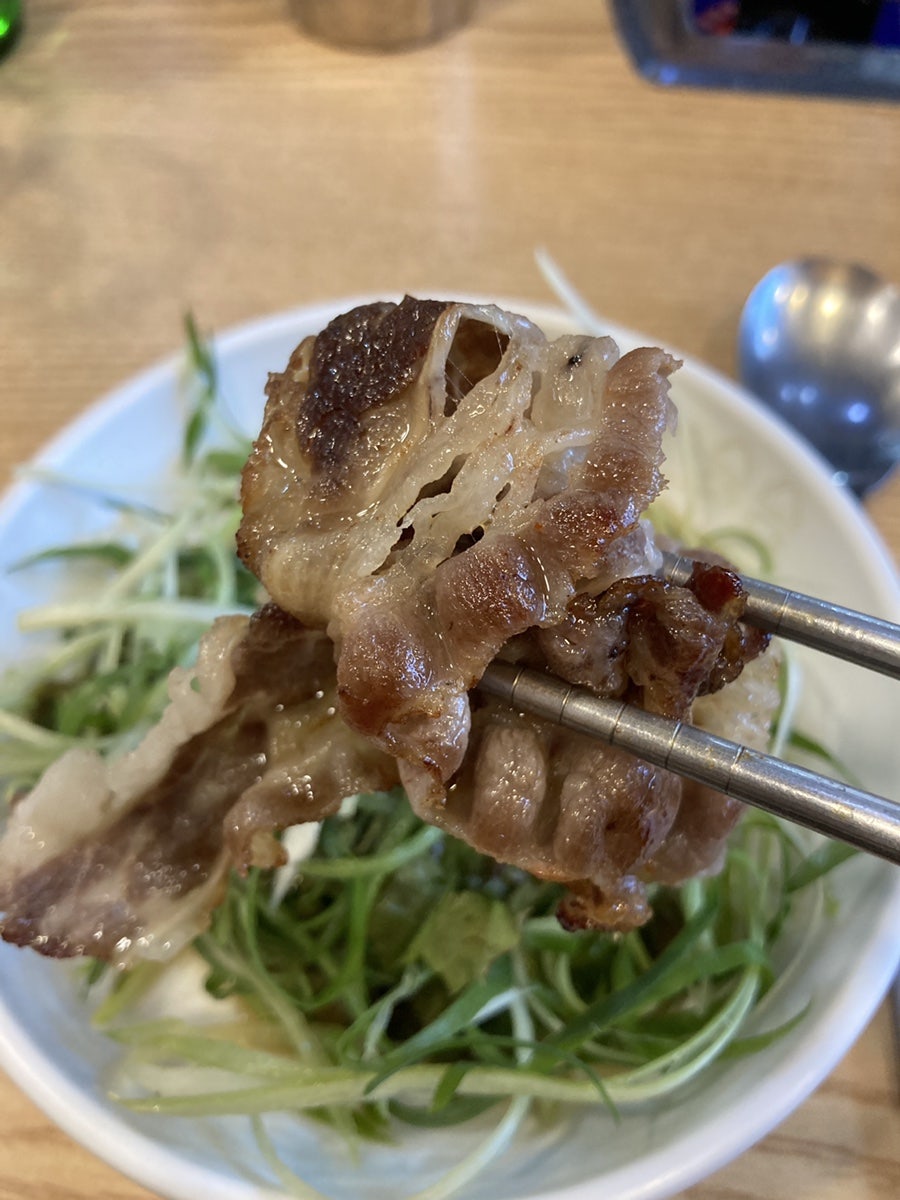 부따비어 사진 5
