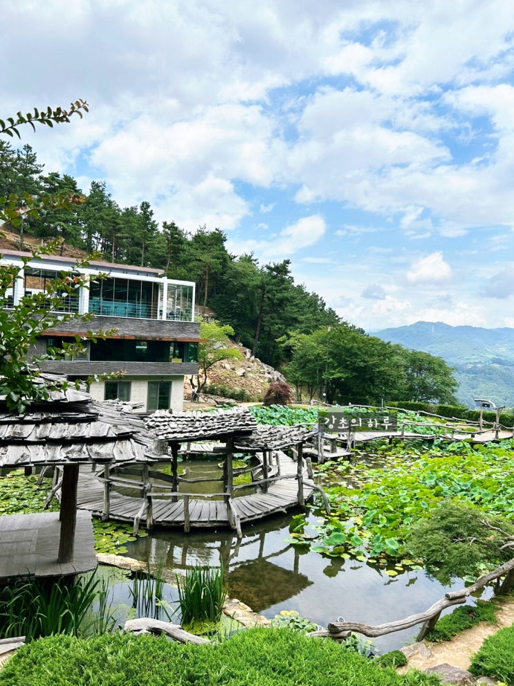  경남 가볼 만한 곳 / 산청 여행 / 힐링 여행 / 연꽃이 가득한 수선사