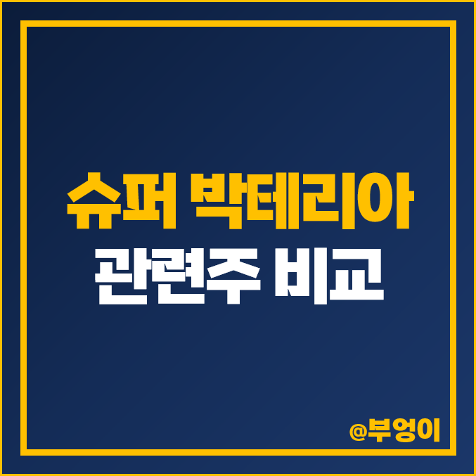 슈퍼 박테리아 관련주 비교 : 씨젠 영진약품 파루 주식 PBR 주가 순위 슈퍼 박테리아 관련주 비교 : 씨젠 영진약품 파루 주식 PBR 주가 순위