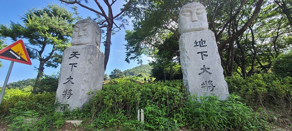 공동산 사진 4