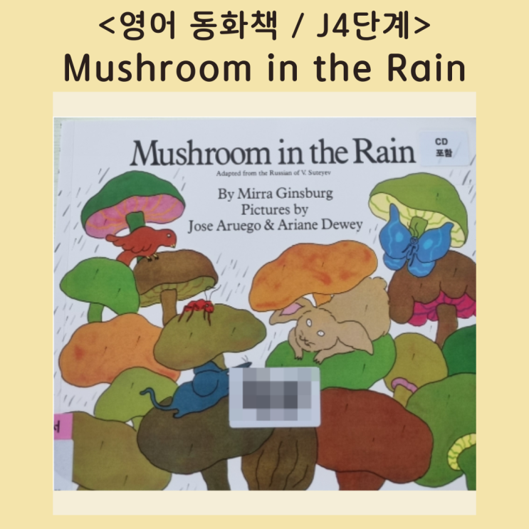  [영어동화책] 버섯이 얼마나 커질까? <Mushroom in the Rain> (음원, 번역서)