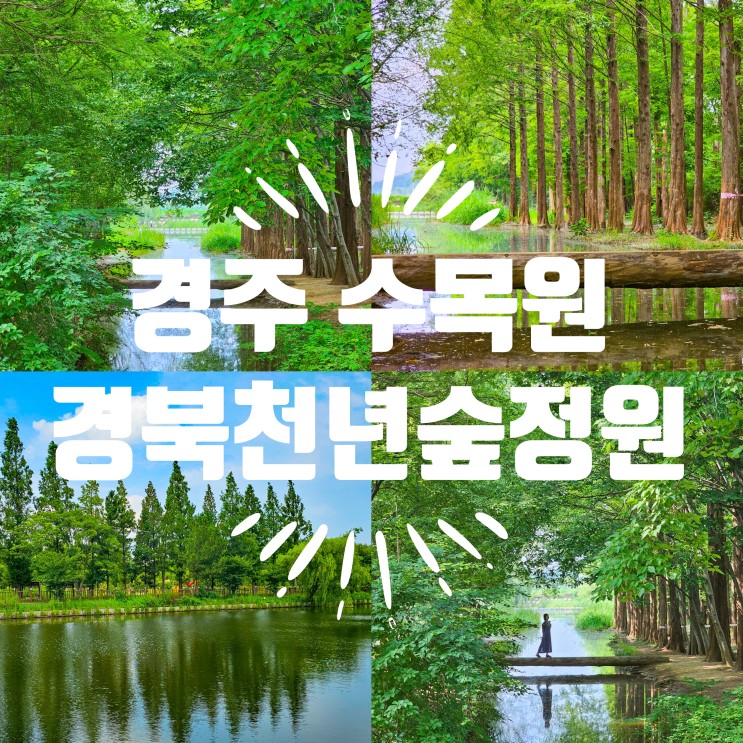 경주 수목원 경북천년숲정원 사진찍으러 갈만한곳 포토존 촬영방법