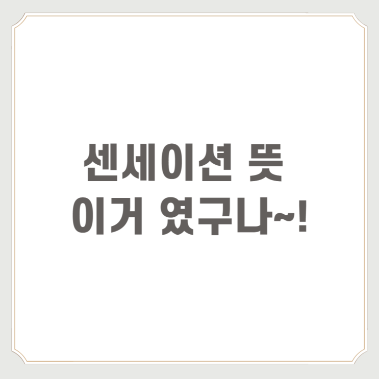  센세이션 뜻 이거였구나~!