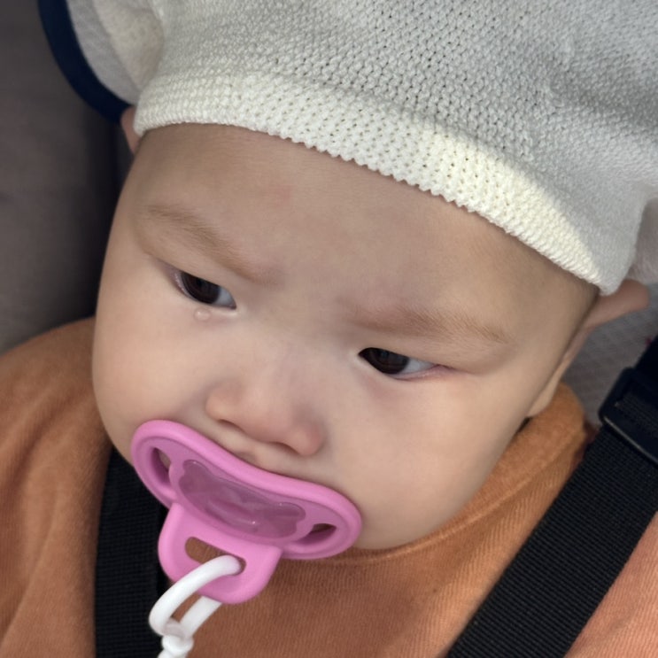 -홍삼이 234일- 아빠껌딱지? /이유식 치트키 + 요거트 / 당쿵네 놀러가기 / 위고 홍삼 / 기어다니기 고수