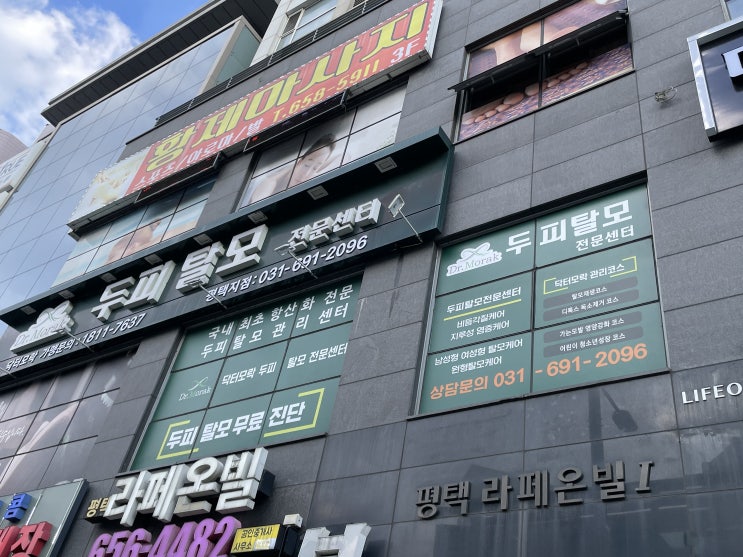  평택 탈모관리 닥터모락 평택점 두피 스케일링 후기