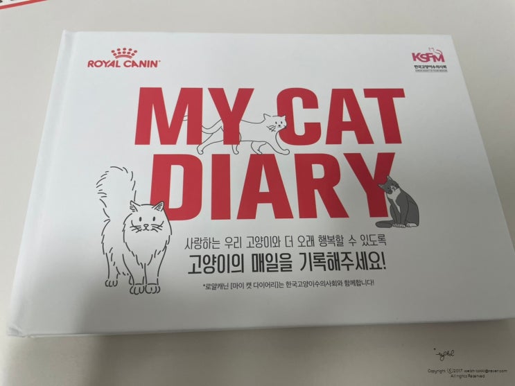 [내 고양이의 매일] 로얄캐닌 마이캣다이어리 #My cat diary