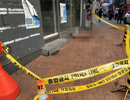 신림역 칼부림 사건 가해자에 대한 엄벌 촉구 탄원서