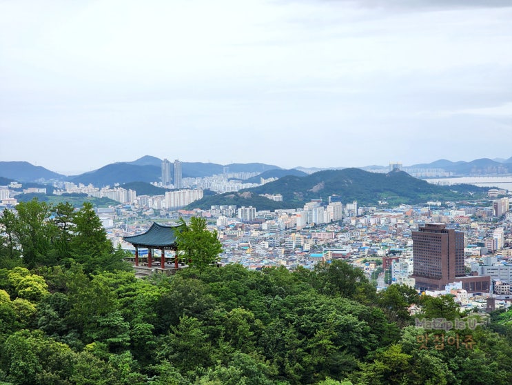  목포 해상케이블카 고하도승강장에서 유달산 들렸다 가기 크리스탈캐빈 후기