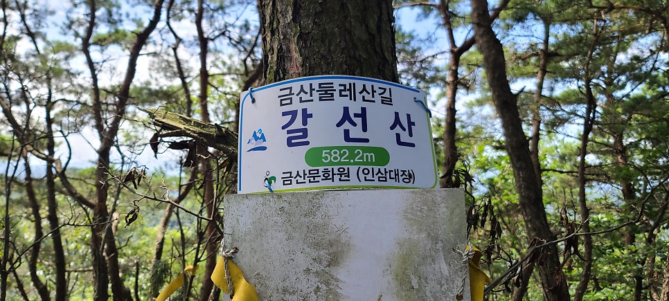 공동산 사진 5