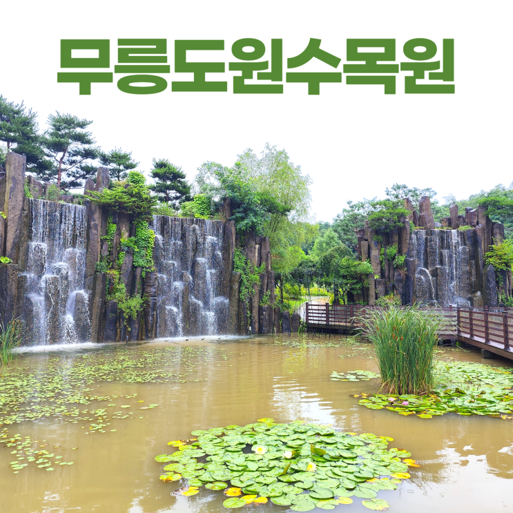 부천자연생태공원 무릉도원수목원 인공폭포 포토존 부천자연생태공원 무릉도원수목원 인공폭포 포토존