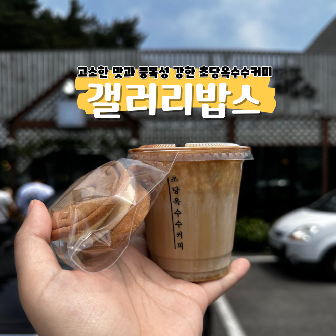 커피의 신세계를 맛보고 싶다면 강릉 갤러리밥스 가자 커피의 신세계를 맛보고 싶다면 강릉 갤러리밥스 가자