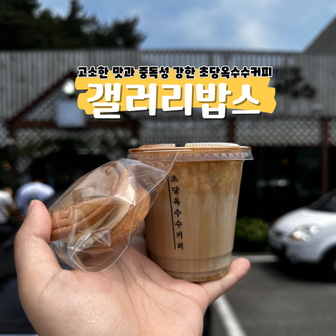 커피의 신세계를 맛보고 싶다면 강릉 갤러리밥스 가자