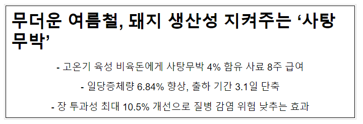 무더운 여름철, 돼지 생산성 지켜주는 ‘사탕무박’ 무더운 여름철, 돼지 생산성 지켜주는 ‘사탕무박’