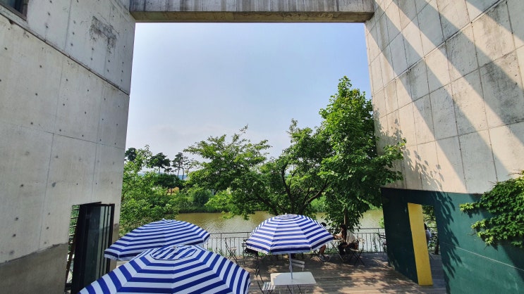  [강릉 카페] 테라로사 경포호수점 호수뷰와 서점을 동시에 즐길 수 있어서 추천