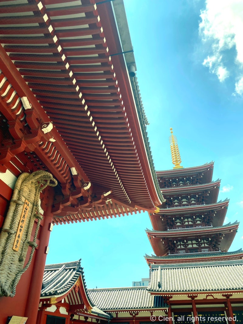 2박 3일 도쿄] 아사쿠사코인라커(짐보관소) 찾는 법, 아사쿠사 센소지(점심으로는 장어덮밥! 아사쿠사우나테츠), 비행기에서 본 후지산  : 네이버 블로그