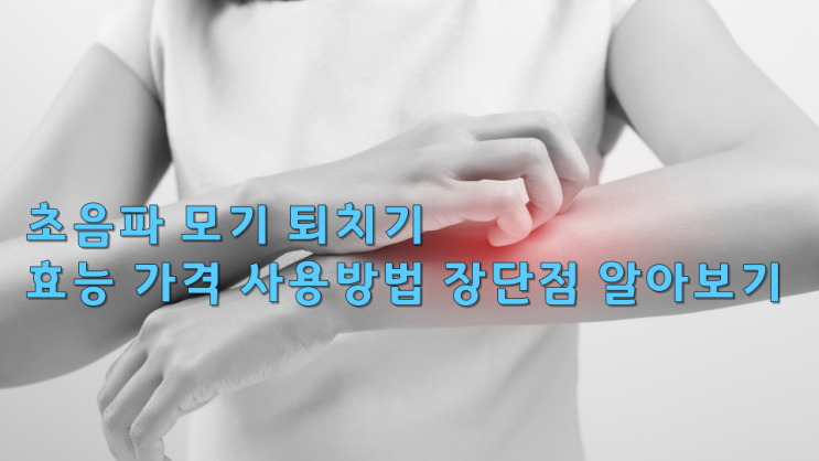  초음파 모기 퇴치기 효능 가격 사용방법 장단점 알아보기