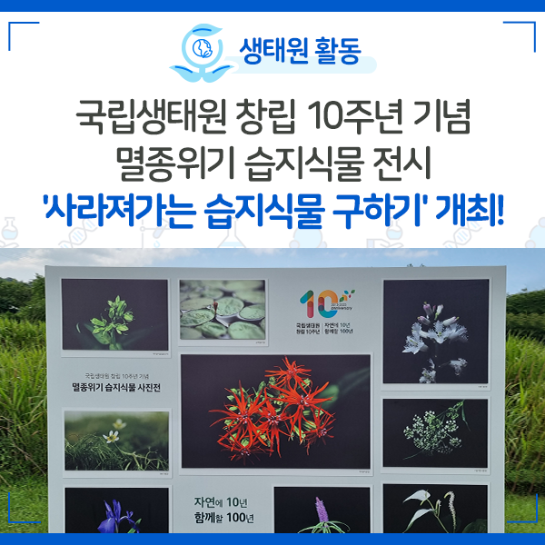 [NIE 소식] 국립생태원 창립 10주년 기념 멸종위기 습지식물 전시 '사라져가는 습지식물 구하기' 개최!