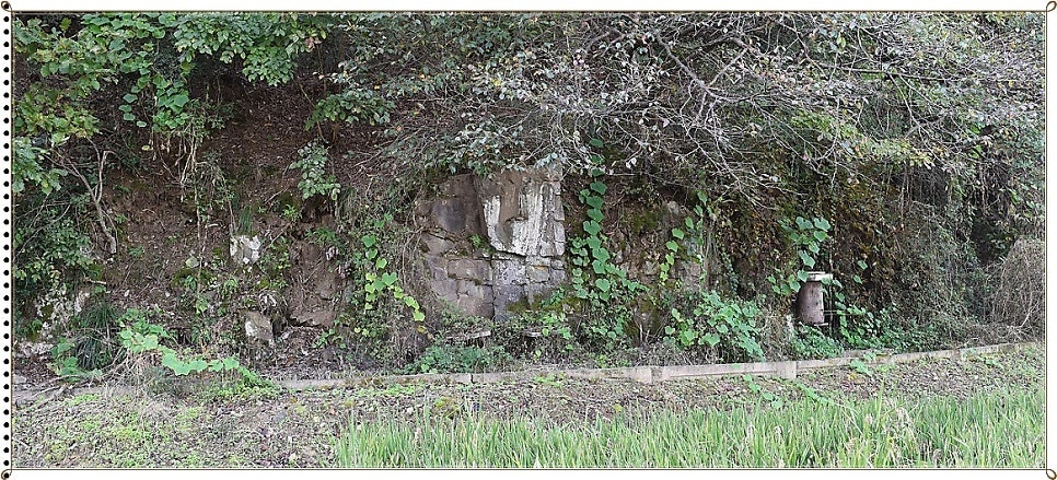 화개산 사진 3