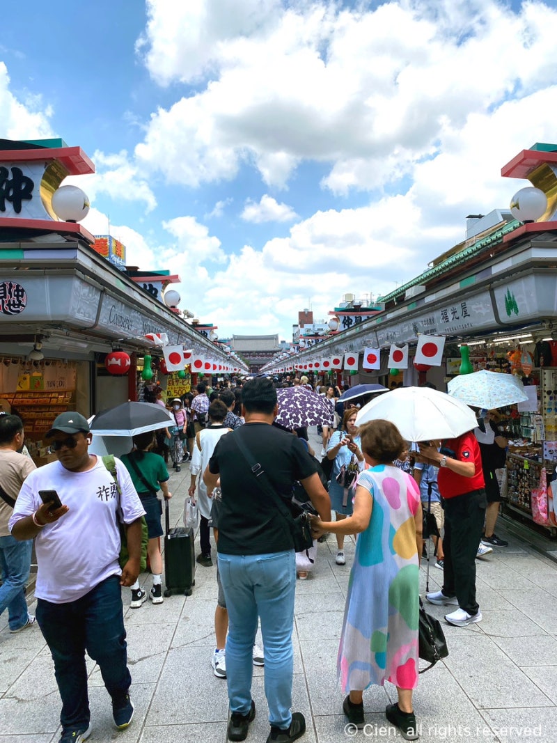 2박 3일 도쿄] 아사쿠사코인라커(짐보관소) 찾는 법, 아사쿠사 센소지(점심으로는 장어덮밥! 아사쿠사우나테츠), 비행기에서 본 후지산  : 네이버 블로그