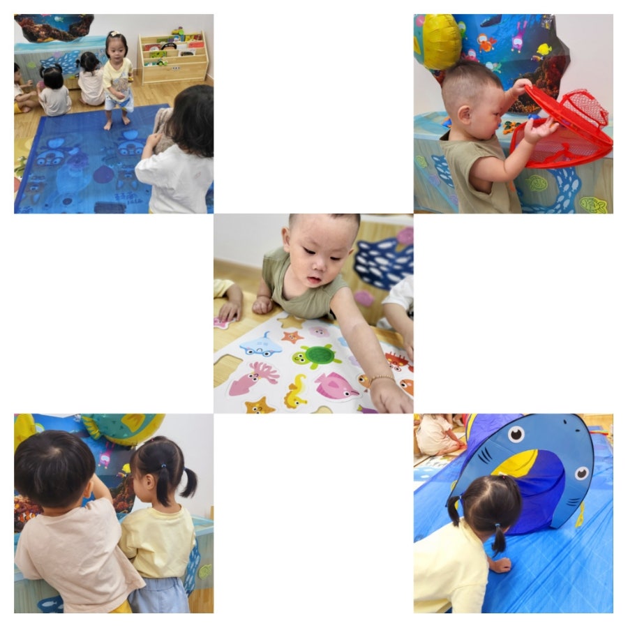 바다속으로 사진 7