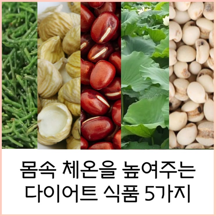  다이어트 식품 5가지 몸속 체온을 높여주는 (함초 밤 팥 연잎 율무)