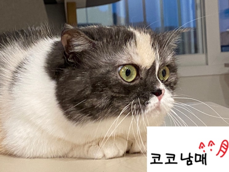  다소곳