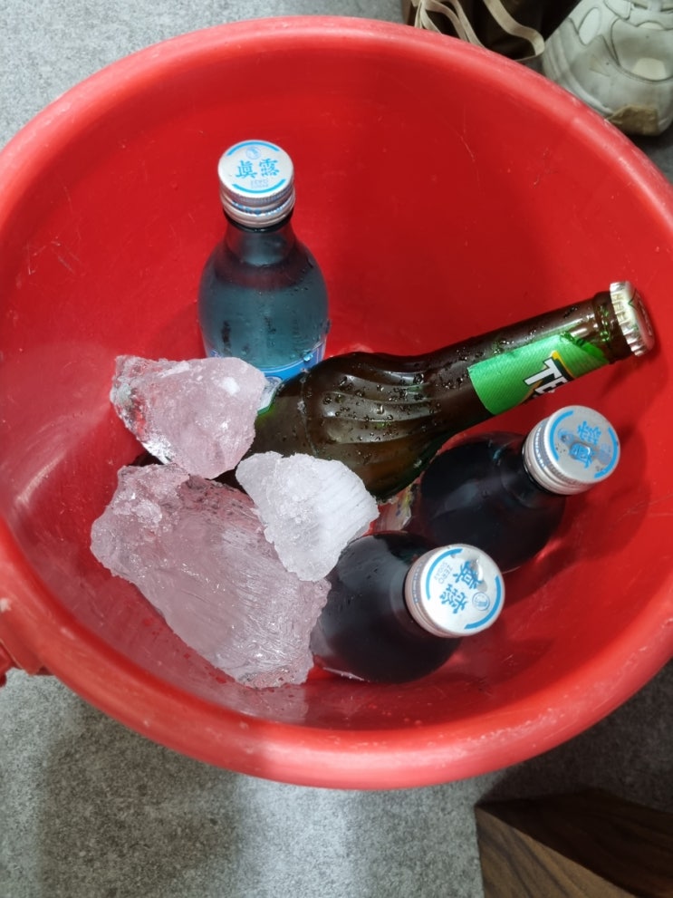  [통영 식도락] 갖가지 해산물과 회가 한가득 통영 강변다찌