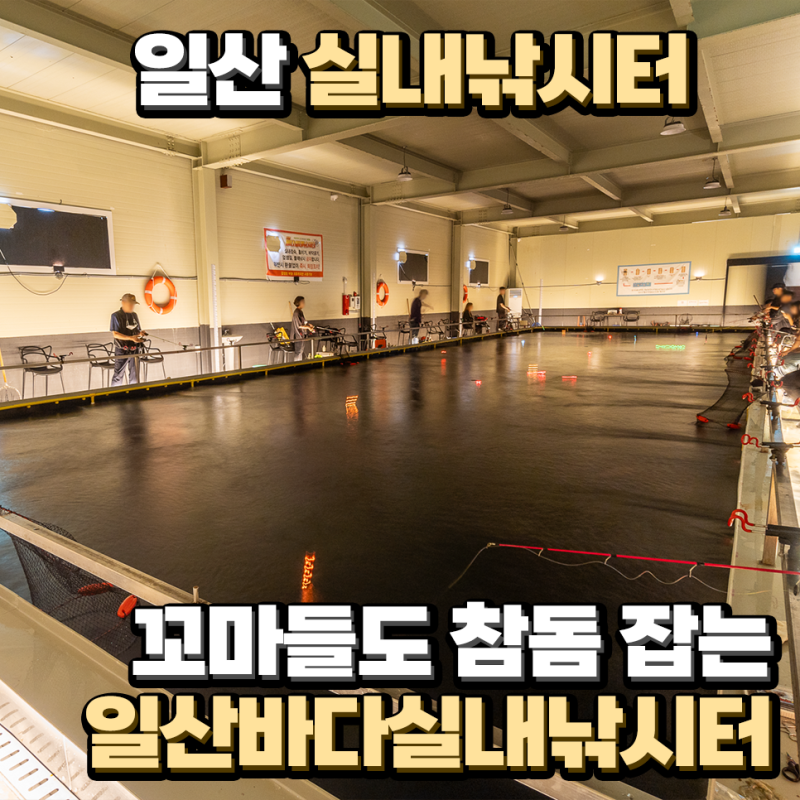 일산 실내낚시터 꼬마들도 참돔 잡는 일산바다실내낚시터
