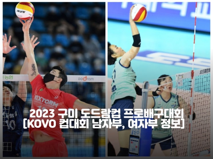 프로배구<b>대회</b> 경기 일정... [KOVO <b>컵대회</b> 남자부, 여자부 해외... 
