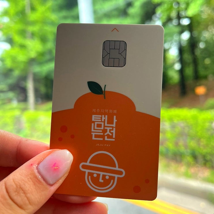  탐나는전 발급 제주 지역화폐 사용후기 할인받은 비용 총 정리