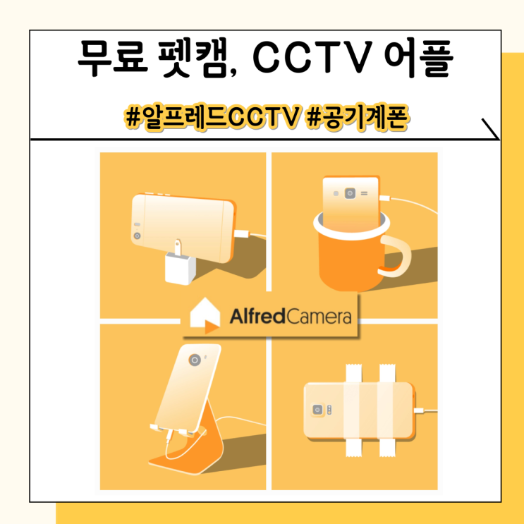 알프레드 cctv 집에서 놀고 있는 공폰 버리지 마세요