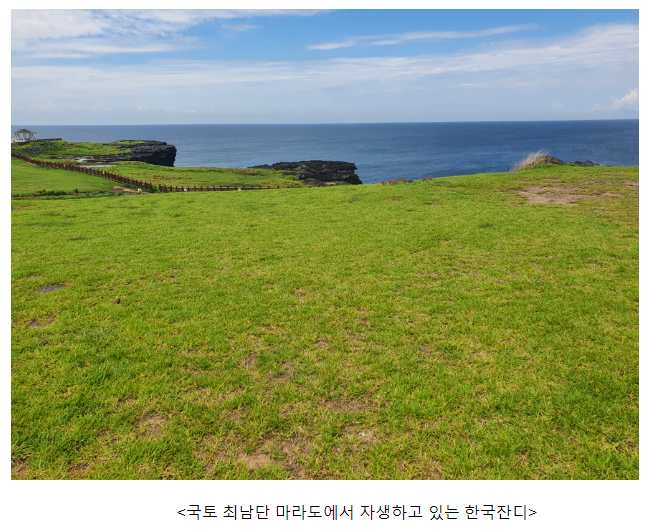 우리나라 국토 최남단에서 한국잔디 4종 자생지 발견